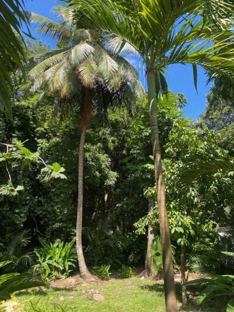 villa vacances guadeloupe
