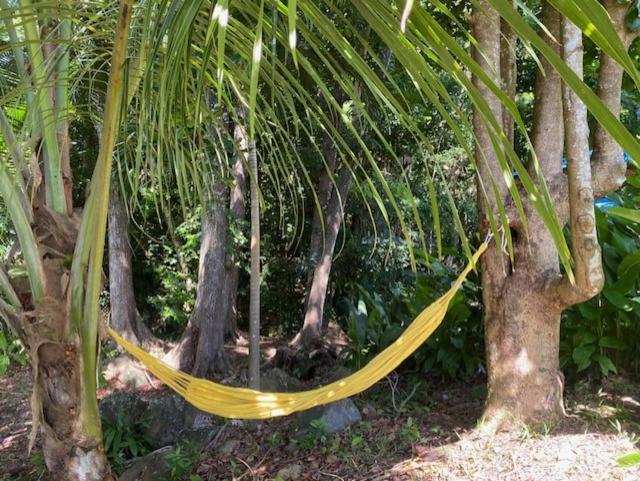 villa vacances guadeloupe