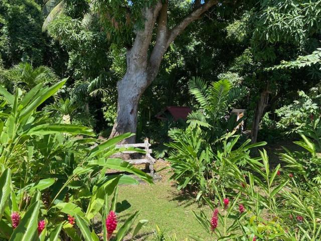 villa vacances guadeloupe
