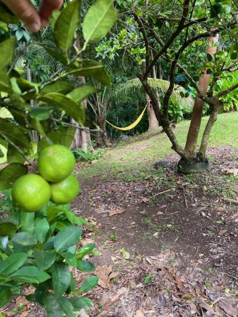 villa vacances guadeloupe